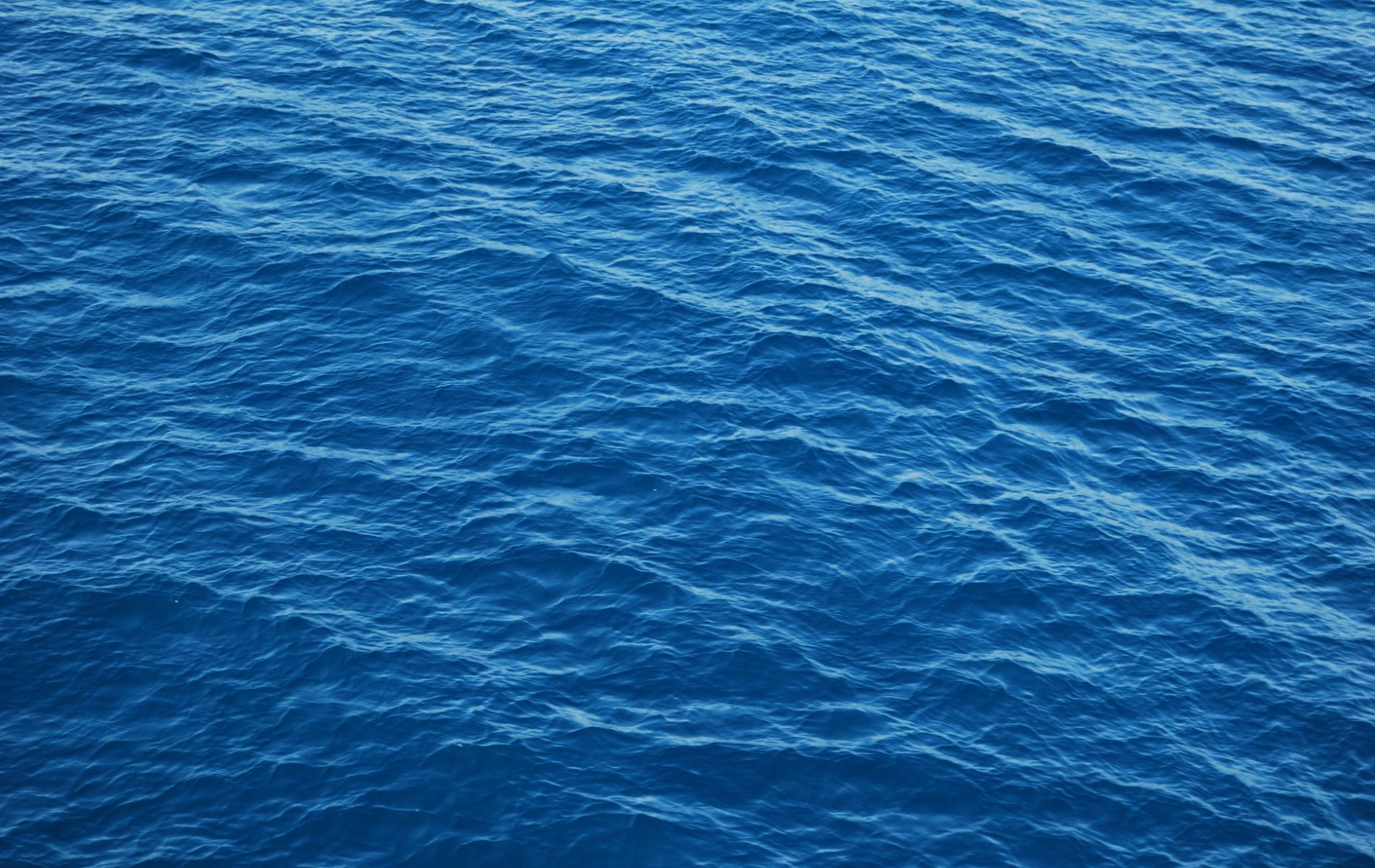 pexels-earano-1298684 2